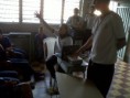 /album/bullying/img00037-20120808-0843-jpg/